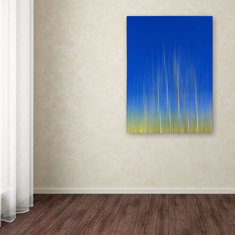 « vertical activity » par philippe sainte-laudy,, impression sur toile, H 47 po x l 30 po x P 2 po