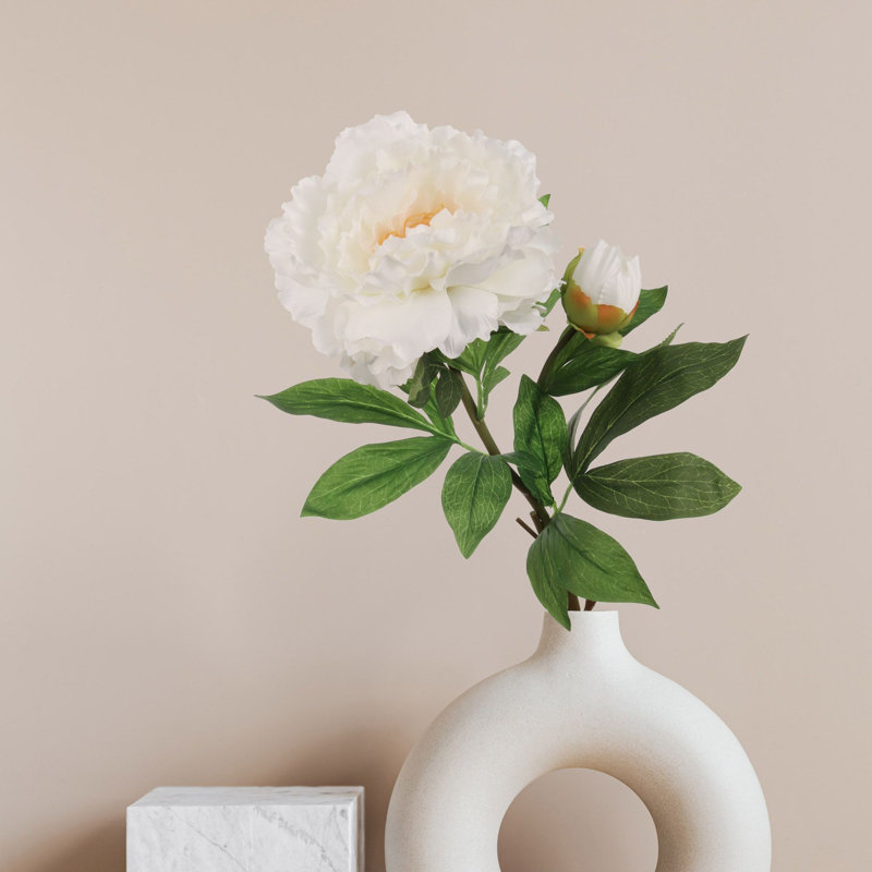 Tige de pivoine, Blanc, 3