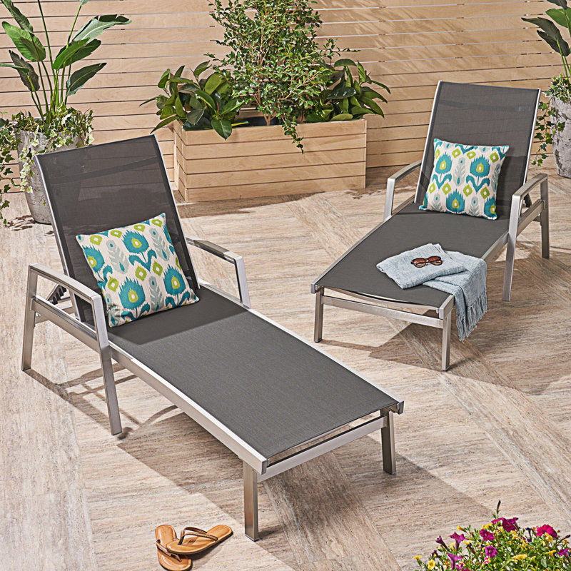 Ensemble de 2 chaises longues, Gris