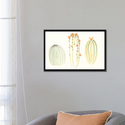 «Funky Succulents I» par June Erica Vess - reproduction sur toile tendue