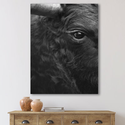 " Detail Of Eye Of A Bull "