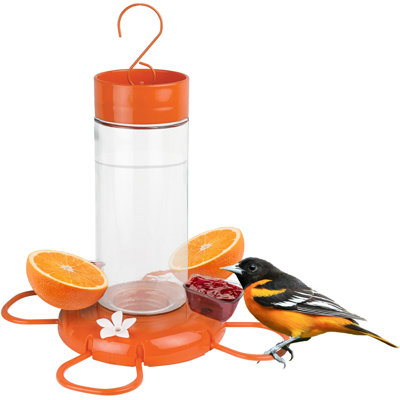 Orange Blossom Oriole Feeder w/ Jelly Attachments