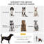 Foldable Pet Stroller
