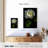 Harnek Lone White Rose-108447221