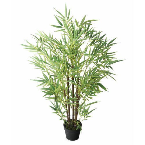 Bay Isle Home 43'' Faux Bamboo Tree in Pot & Reviews | Wayfair