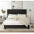 Artia Upholstered Standard Bed-546655347-546655344
