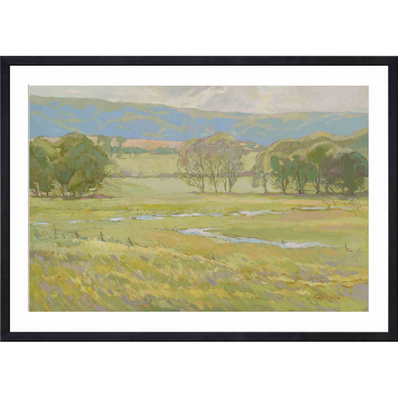 «Summer Pasture I» par Stephen Calcasola - reproduction d'art encadrée, H 32 po x l 48 po, Noir