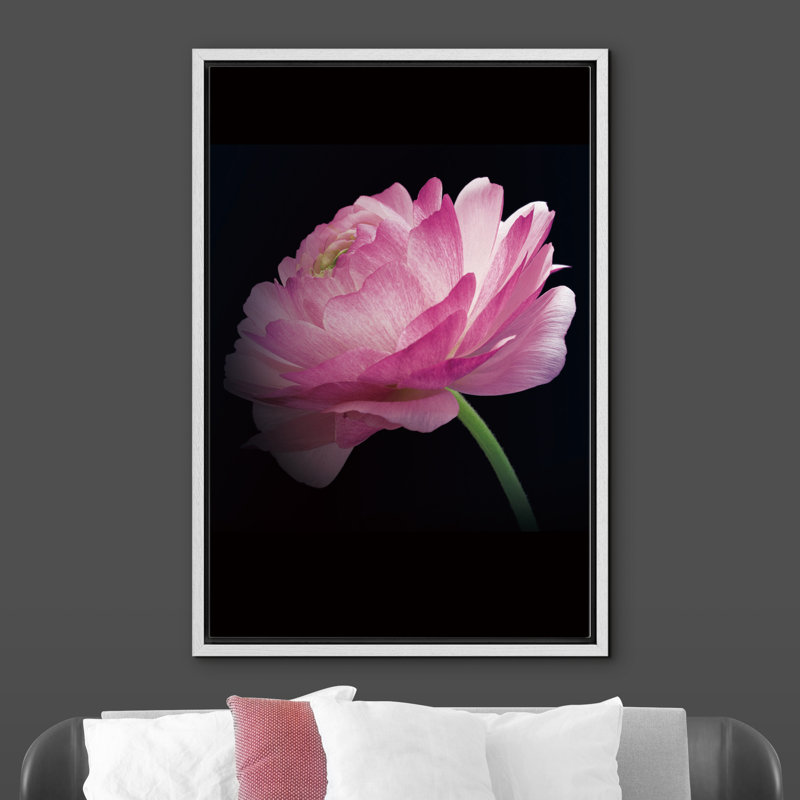 «Flower Blossom Profile Of A Peony» - Photographie à cadre flottant sur toile, H 36 po x l 24 po x P 1,5 po, Cadre blanc