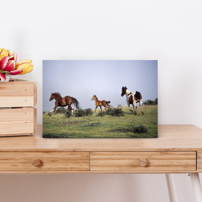 Horses And Colt Running In Meadow by Green Earth Collection - Wrapped Canvas Print