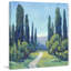 Cypress Path I - reproduction d'art sur toile-30868597