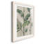 Modern Fronds II - peinture encadrée-224157610-224157611