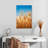 Blue Sky Wheat Field-13238327