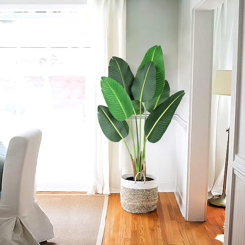 Plant, Green, 48cm H x 16cm W x 100cm D