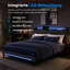Upholstered Bed-55056311
