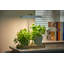 Tico Adjustable Wood USB Novelty Lamp