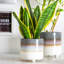 Ceramic Pot Planter-63880961