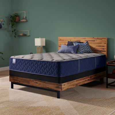 Sealy Dudley Chase 14.5" Soft Tight Top Innerspring Mattress by Sealy