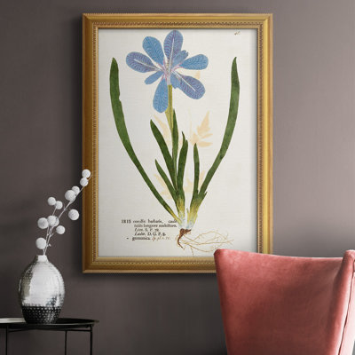 Toile encadrée de qualité supérieure avec impression nature de Botanicals