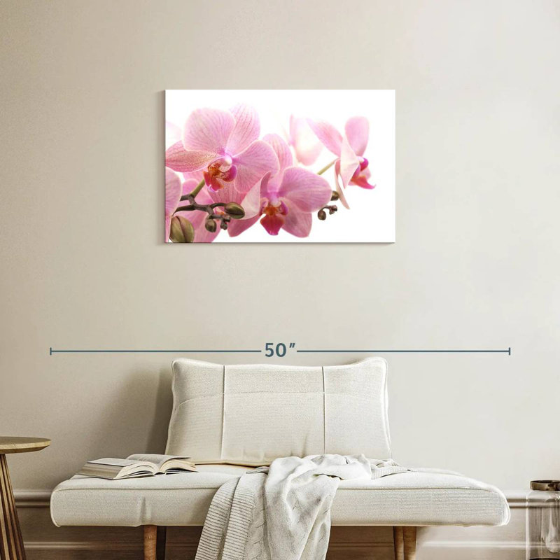 Orchidées Harnek Dreamy Violet, H 20 po x l 30 po