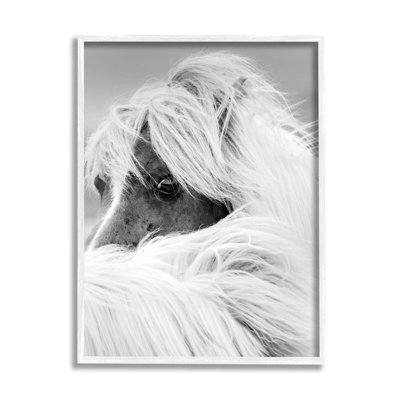 " Horse Gazing Windblown Mane " by Danita Delimont