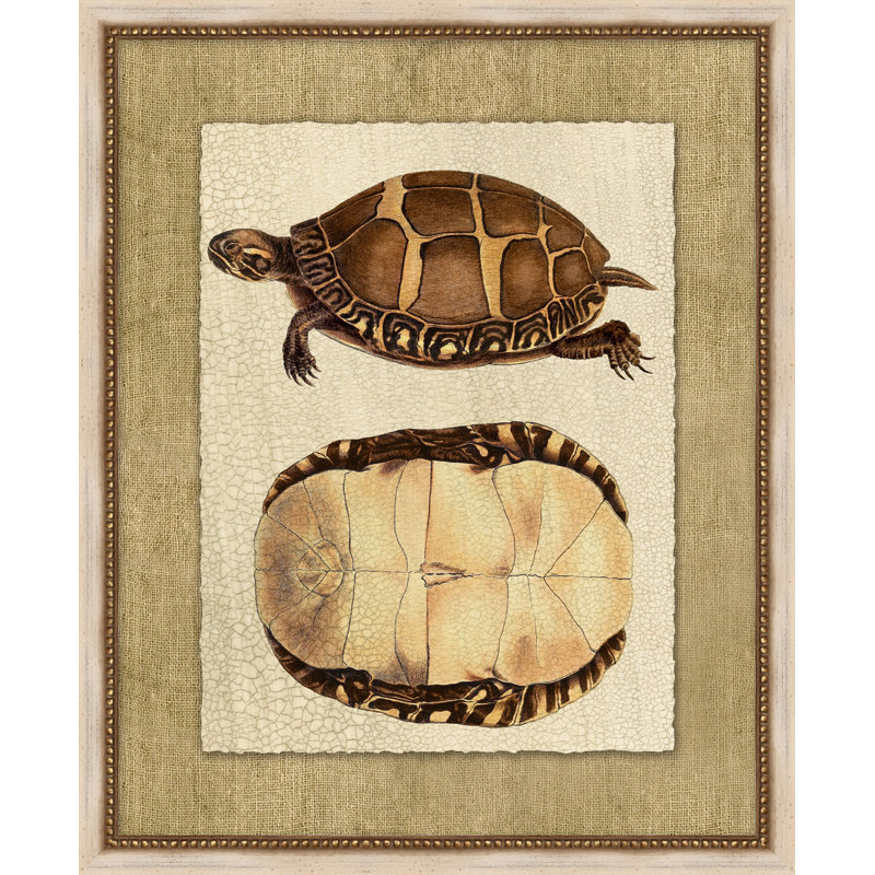 Neutral Turtle 1 Painting