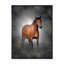 Portrait d'un cheval brun II - reproduction sur toile-67236401-67236405