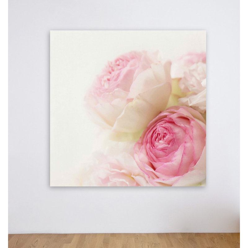Sylvia Cook - Wrapped Canvas Print, 45cm H x 45cm W x 3.81cm D