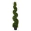 Arbre en spirale de buis vert Wolfdale-20583854