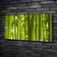 Bamboo - No Frame Print on Canvas