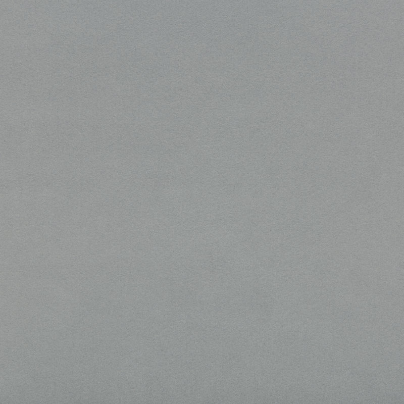 Ultrasuede Green, Coin