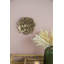 Plaque murale succulente D10x1,4 ", 2 pièces