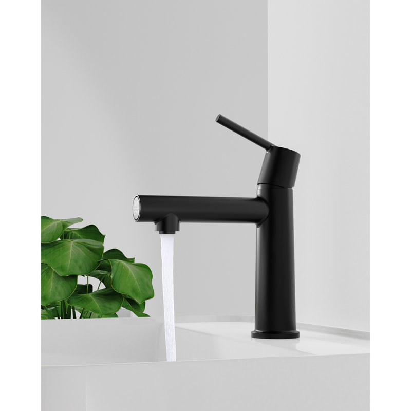 Robinet moderne noir mat à double fonction pour salle de bain et téléviseur