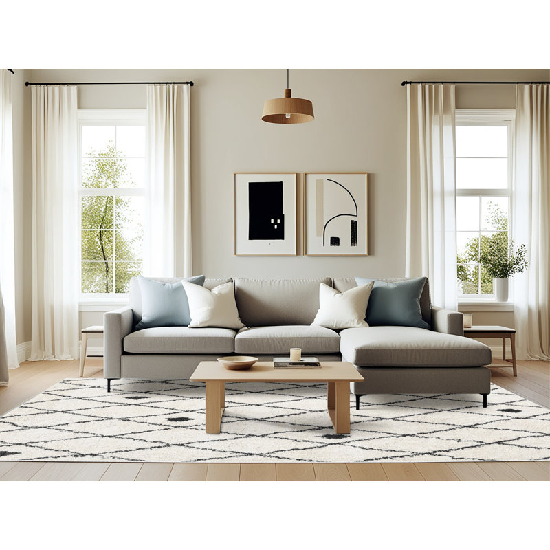 Tapis blanc/noir contemporain, Rectangle 6 pi x 9 pi