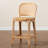 Jayce Rattan Jayce Bar & Counter Stool-828837499