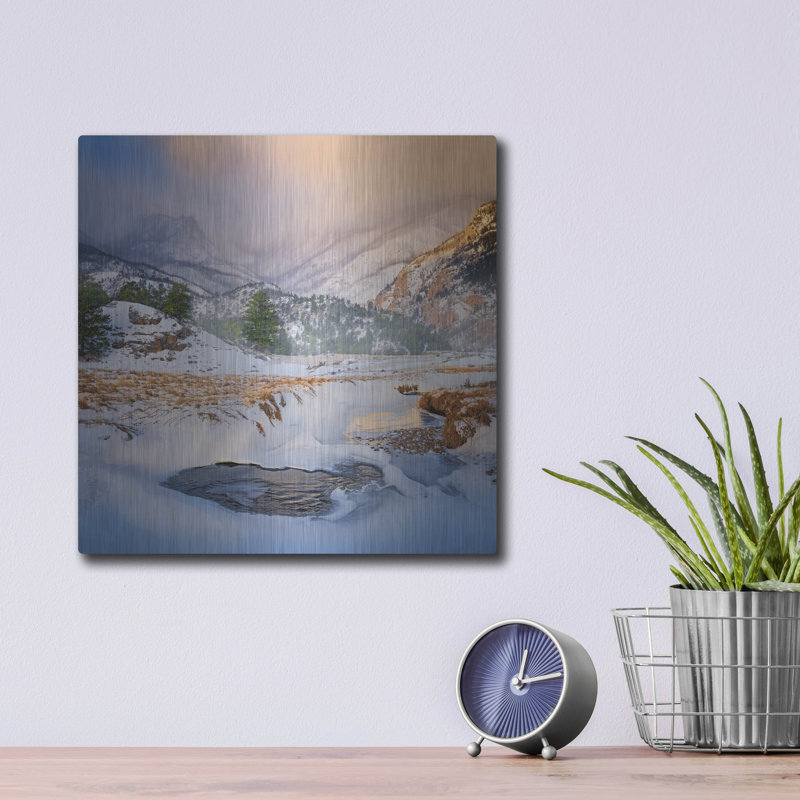 Art mural en métal Millwood Pines, H 12 po x l 12 po
