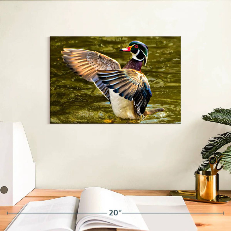 Brampt Duck Flapping Wings, 8" H x 12" W