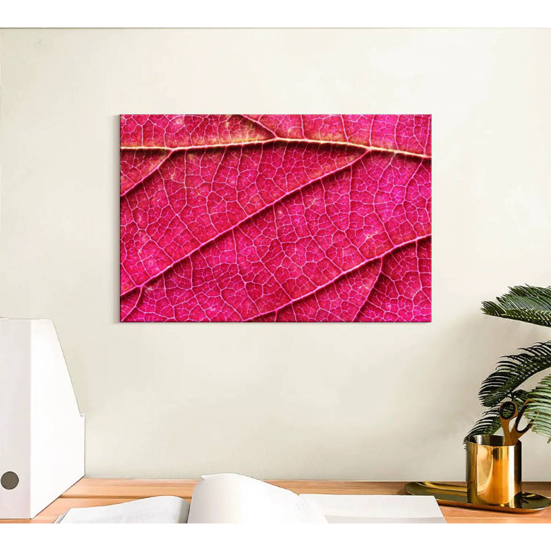 Pink Leaf Vein, 8" H x 12" W