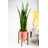 Olivencia Planter-25603330-26077234