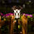 Solar Powered Integrated LED Pathway Light Pack-61688105