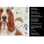 Torchon rouge et blanc Basset Hound-1234934733