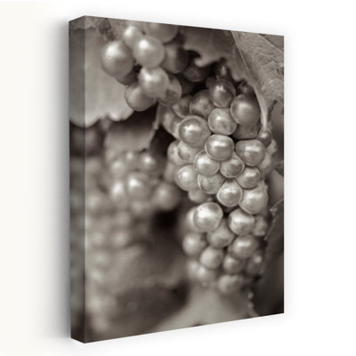 Grapes #20 - Photography Cuisine Wine Art