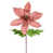 Or rose