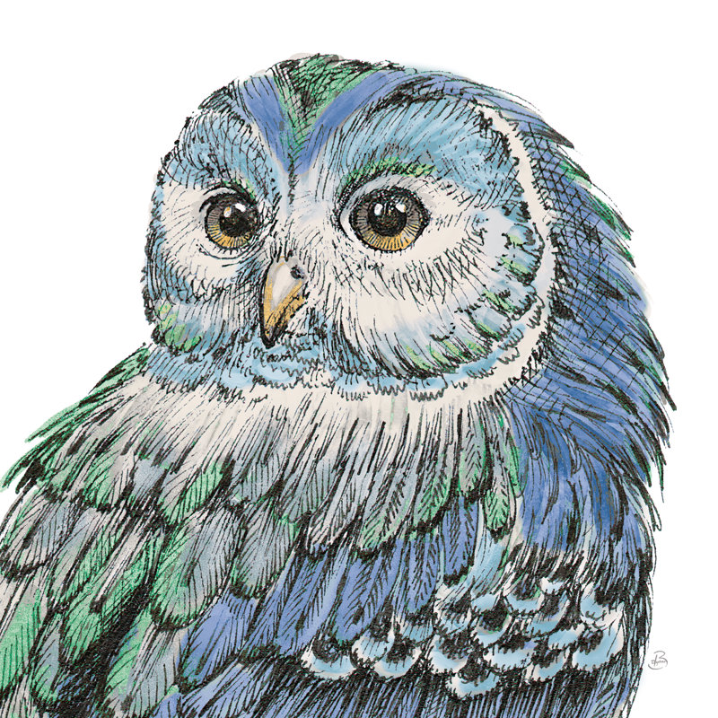 Beautiful Owls I Peacock Crop by Daphne Brissonnet - Wrapped Canvas Painting, 76cm H x 76cm W x 3.8cm D
