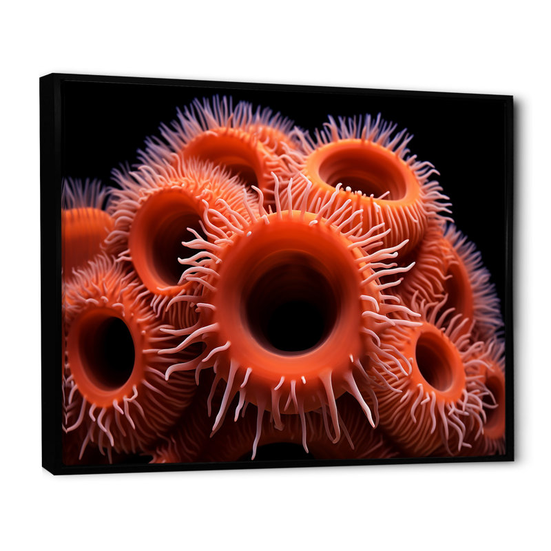 " Orange Giant Plumose Anemone ", 34" H x 44" W x 1.5" D, Black Floater Framed