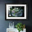 Tulipes sauvages-552863867-552863877