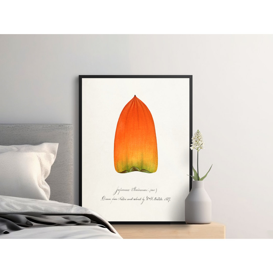 No Frame Print