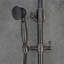 Leedy Mixer Shower with Dual Shower Head