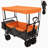 Collapsible Wagon with Canopy-112369140