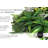 Rainforest Foliage Greenery UV-protected for Outdoor Decor. 20"x20" panels (Set of 2)