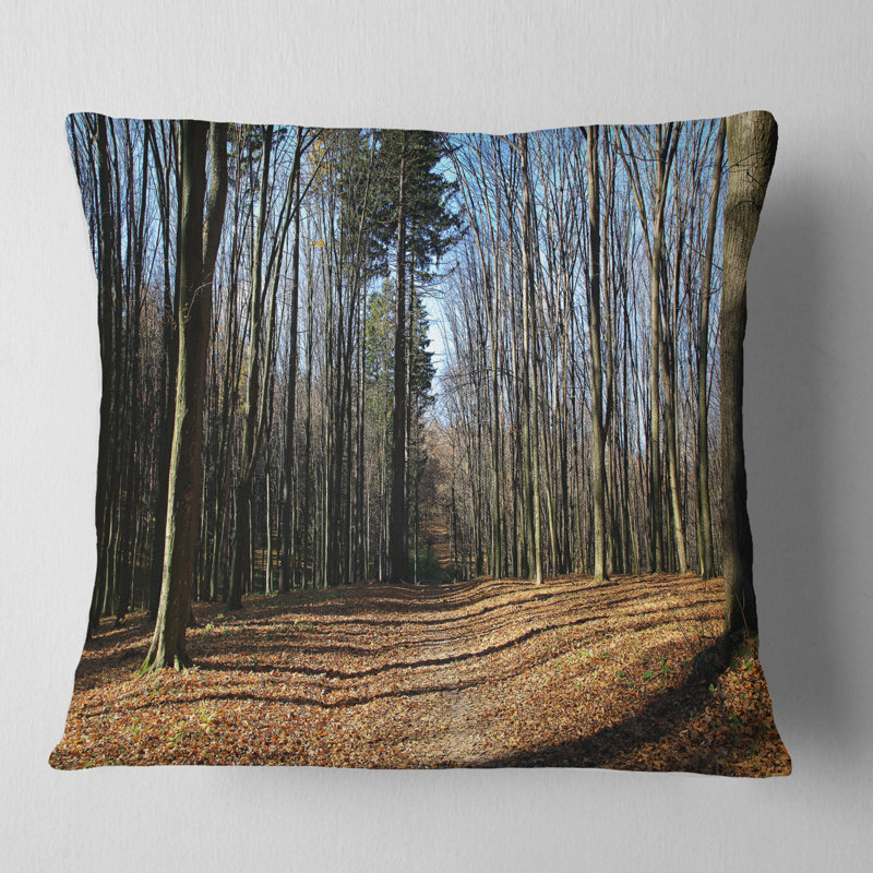 Forêt d'automne sous le soleil et les ombres - Coussin imprimé forêt, 16 po x 1 po, Coussin décoratif